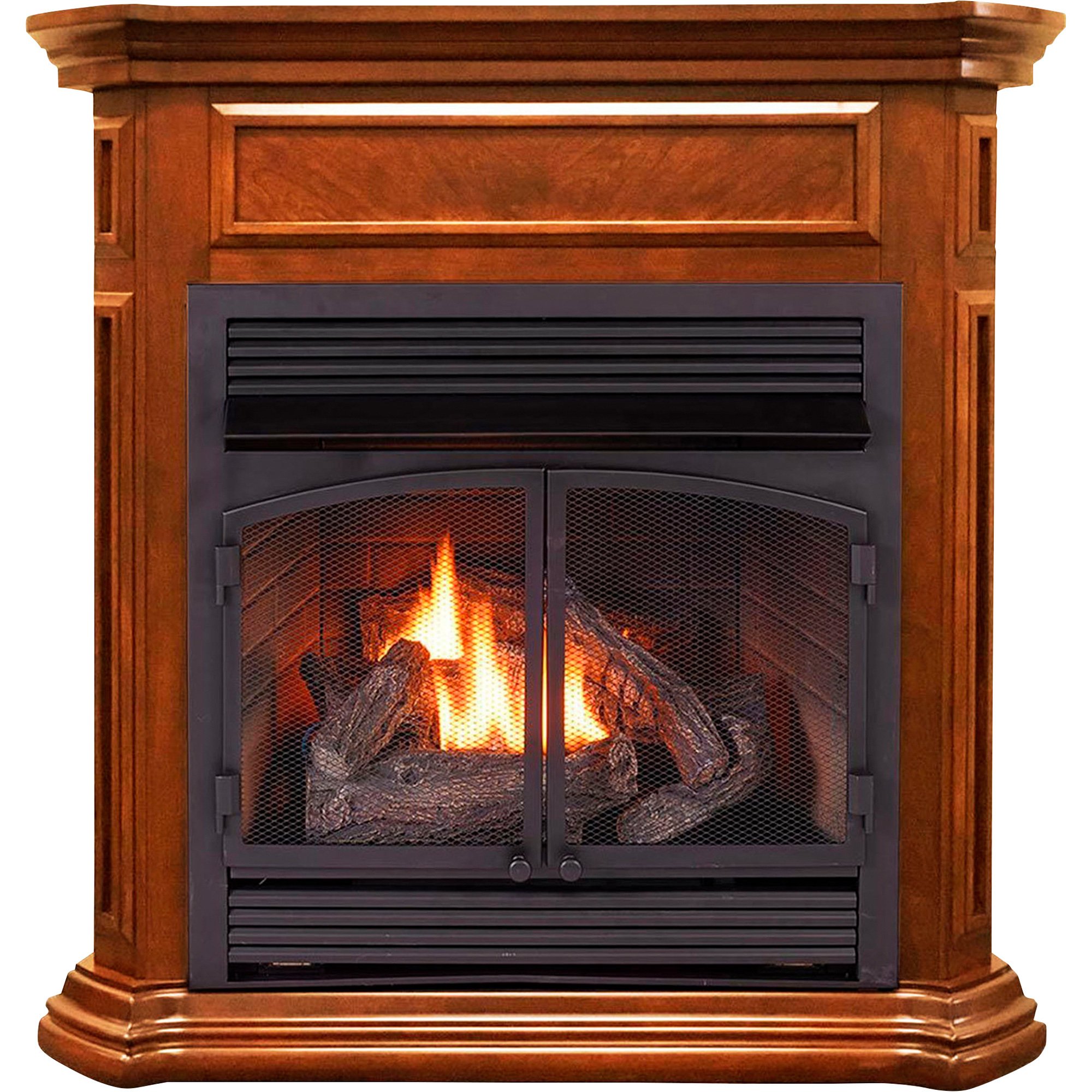 VentFree Dual Fuel Gas Stove — 25,000 BTU, Model QNSD250T